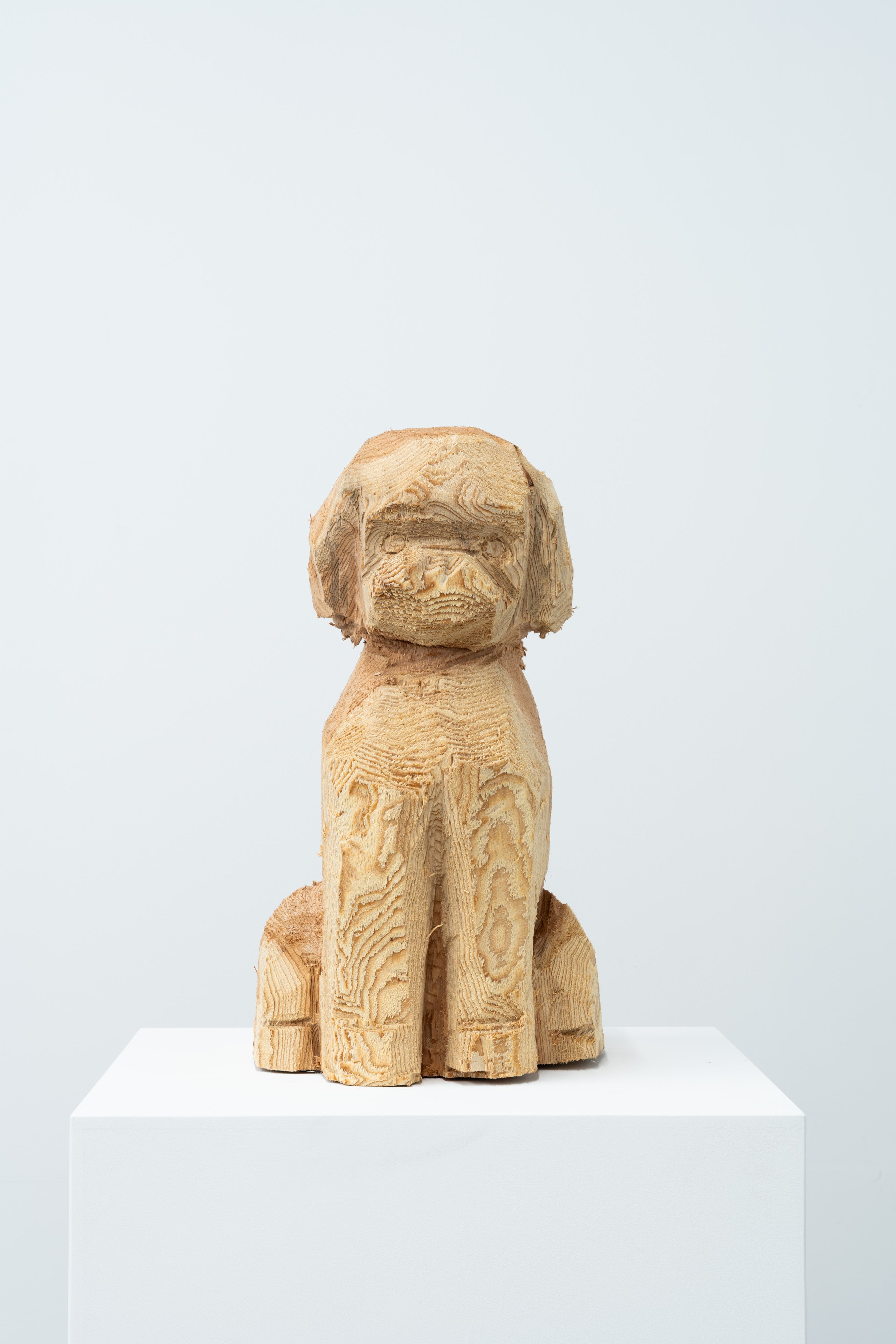 Phantom - Dog 072