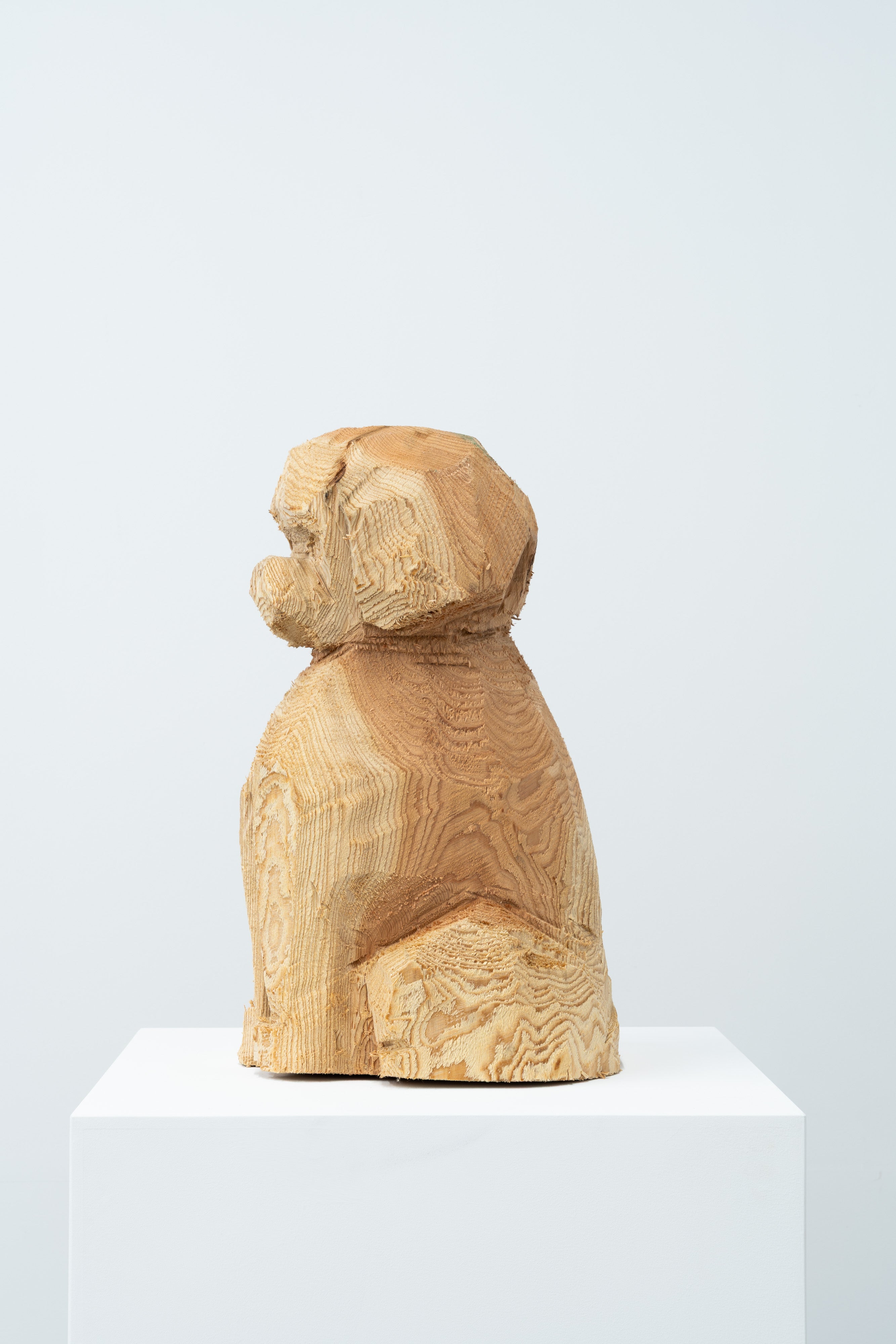 Phantom - Dog 072