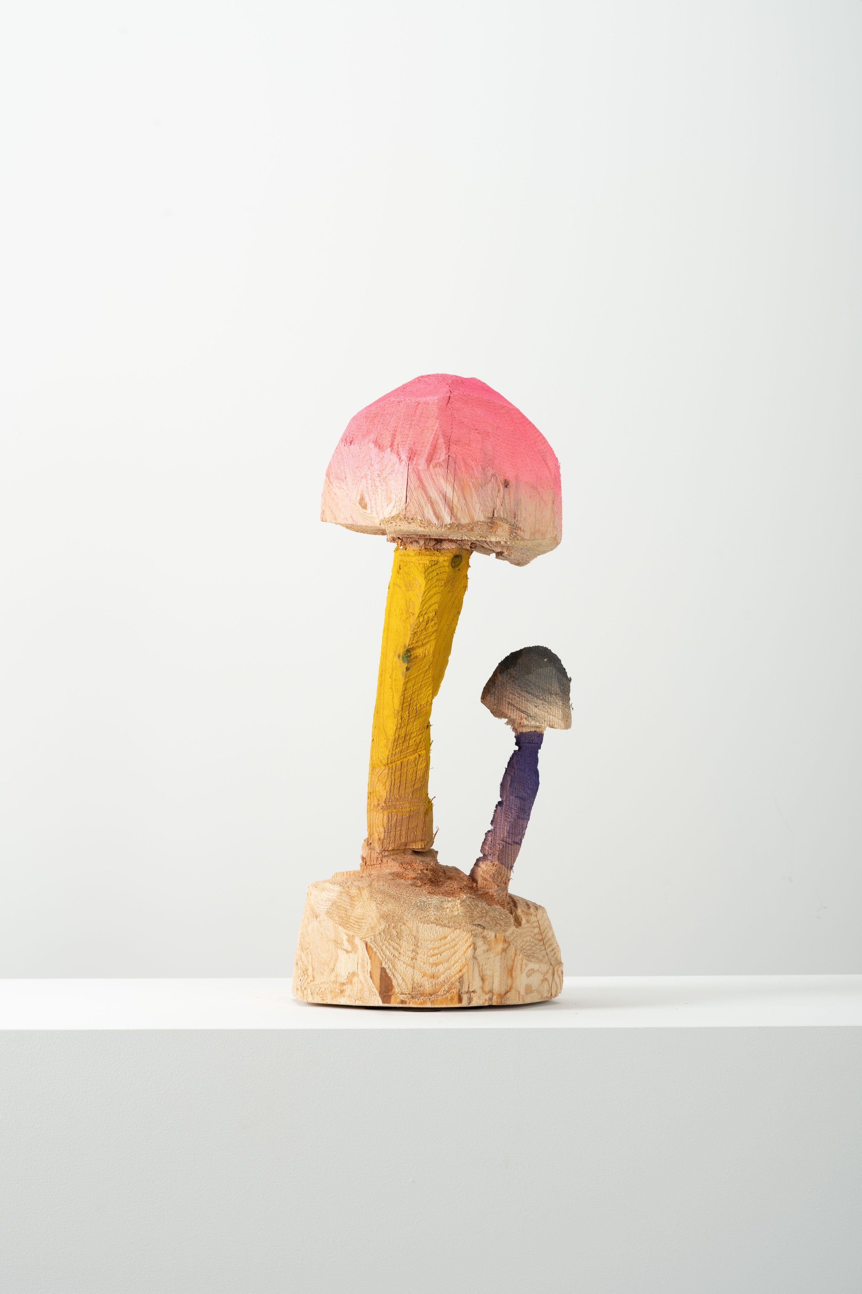 Phantom - Mushroom 001
