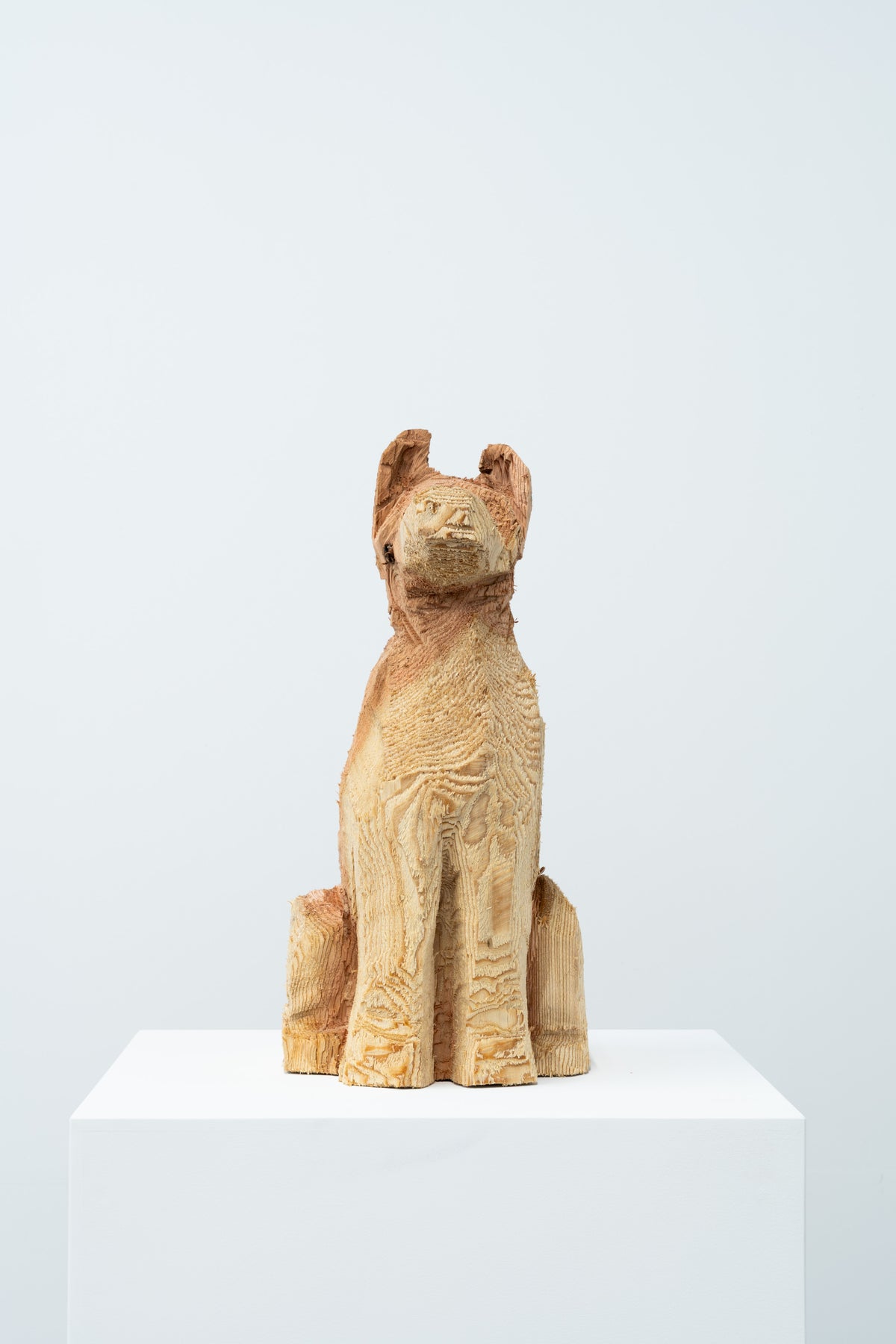Phantom - Dog 072
