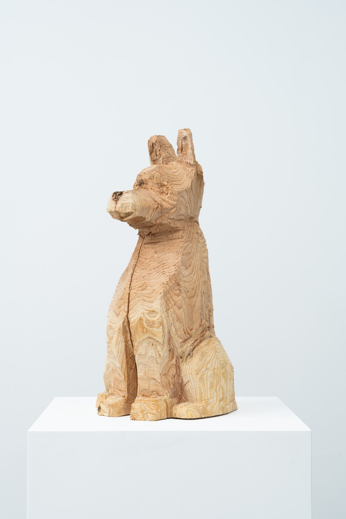 Phantom - Dog 072