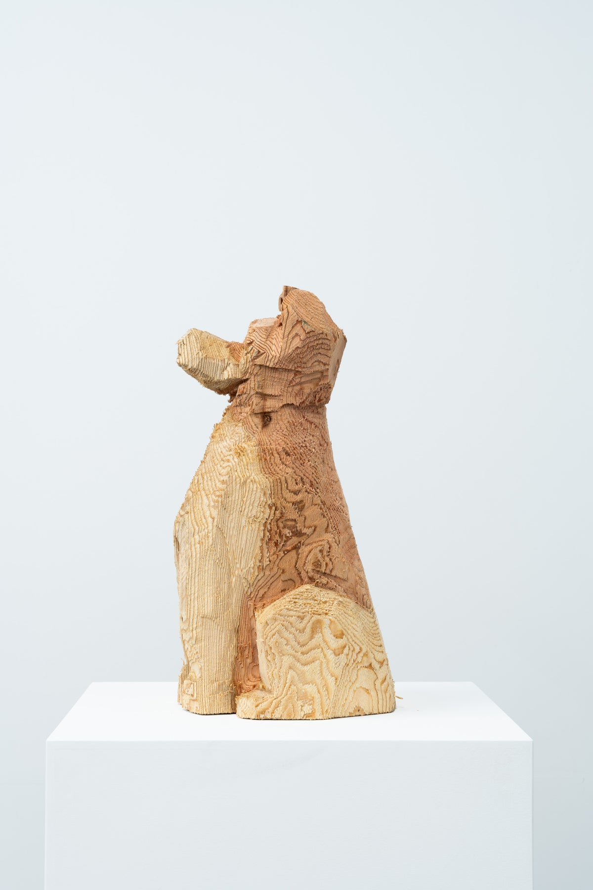 Phantom - Dog 072