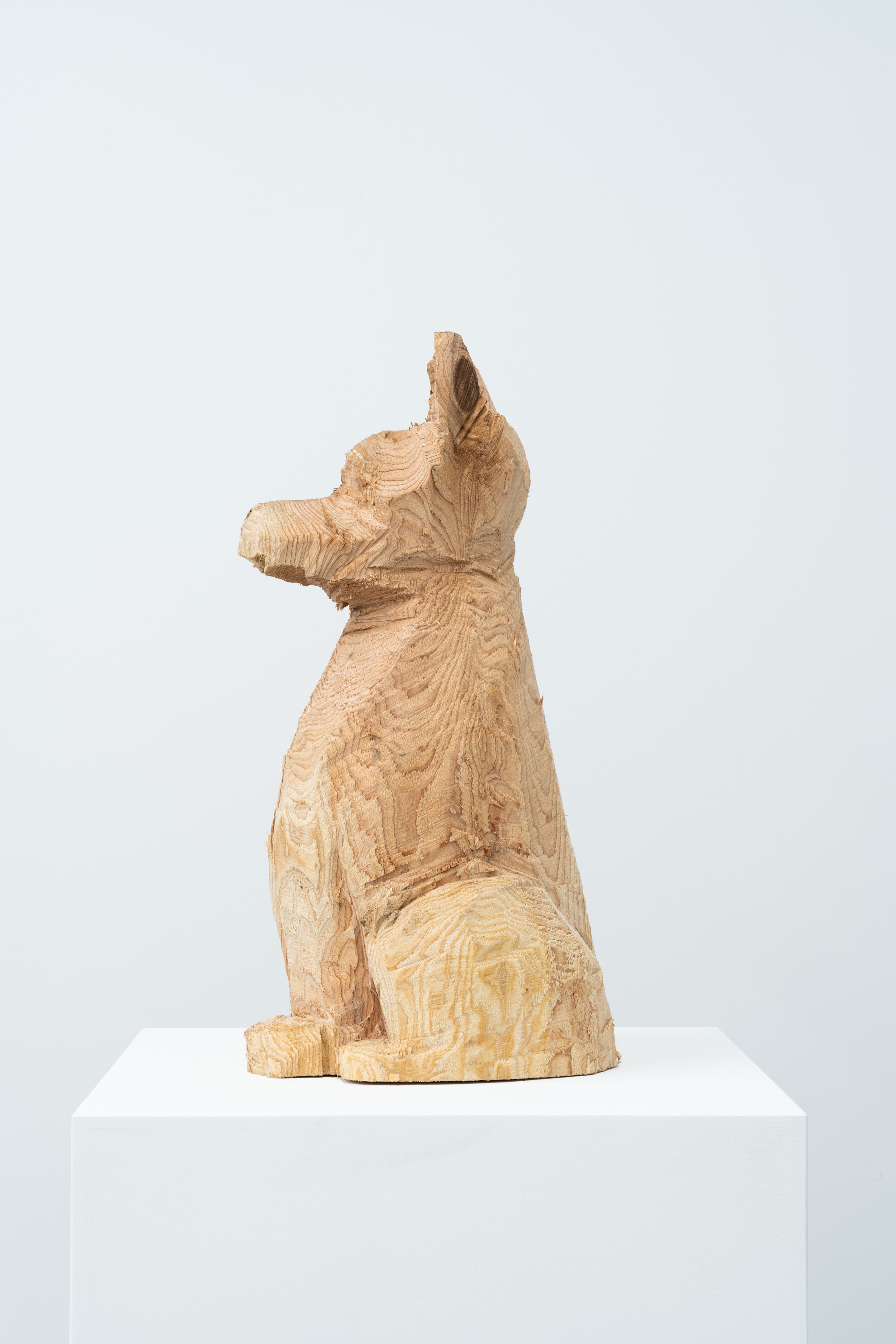 Phantom - Dog 072