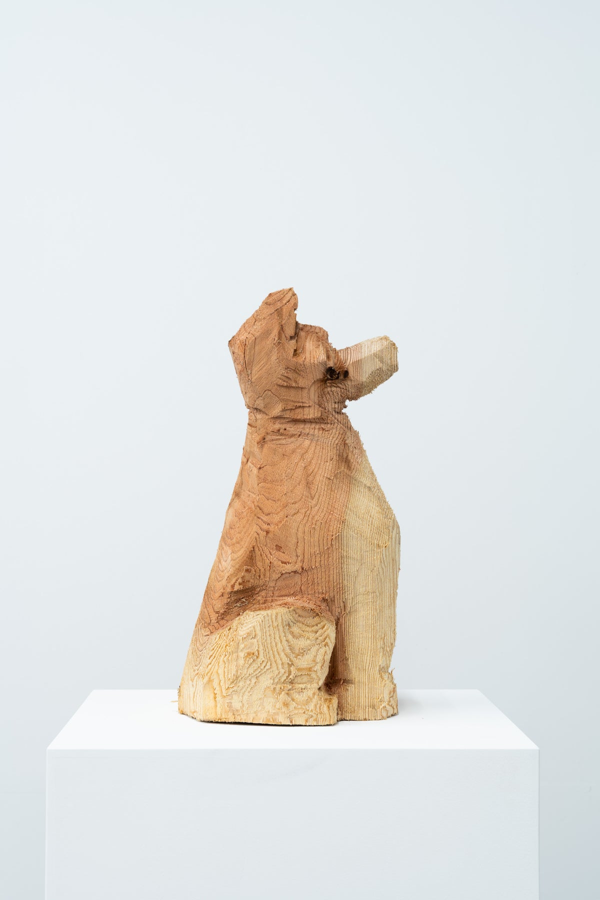 Phantom - Dog 072