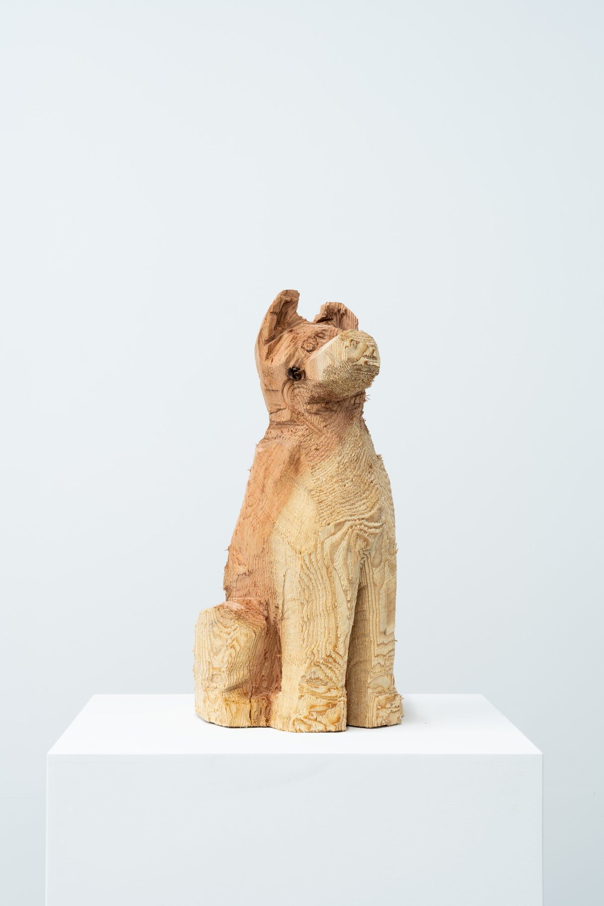 Phantom - Dog 072