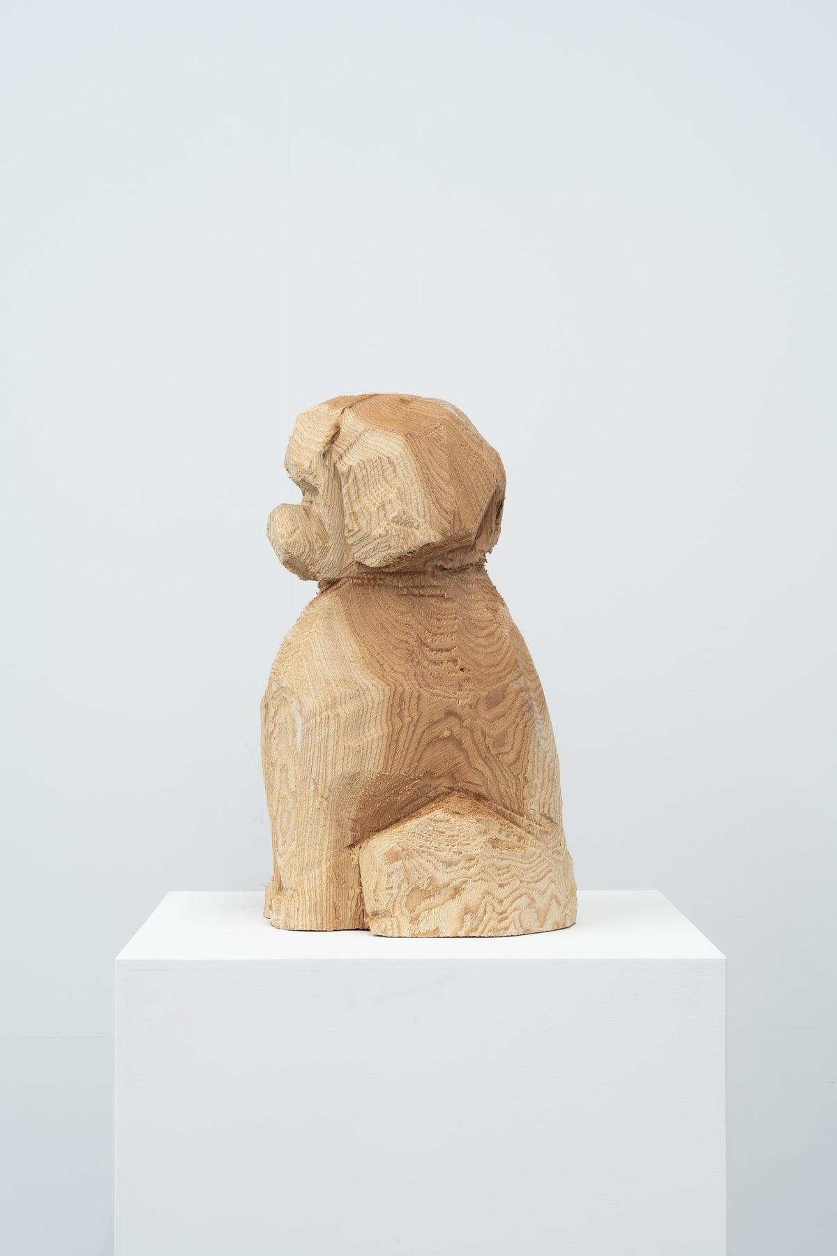 Phantom - Dog 072