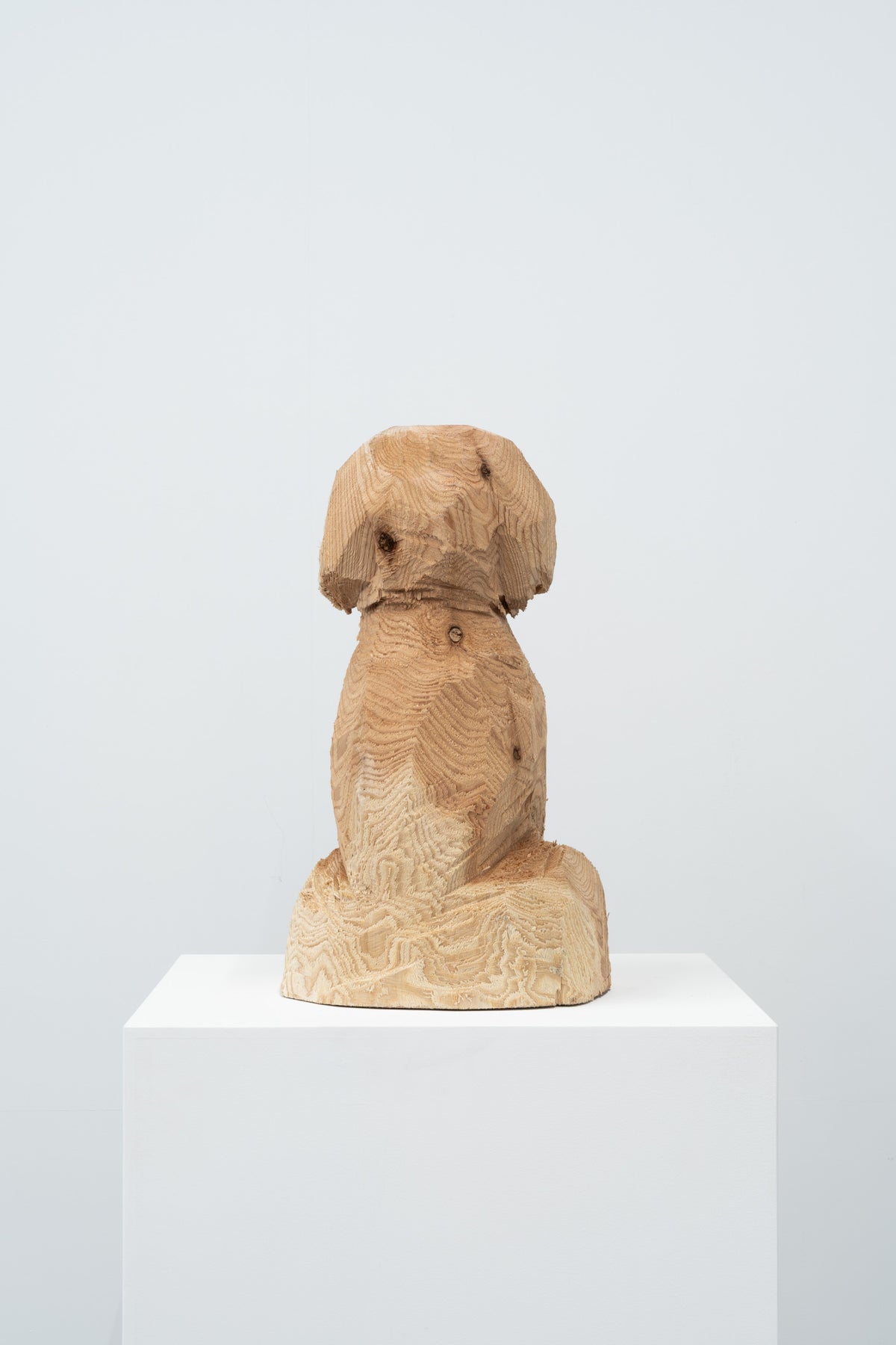Phantom - Dog 072